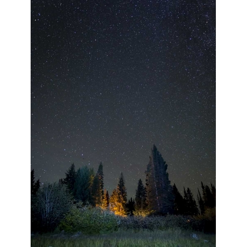 USA, Colorado Night sky at Lost Lake Slough